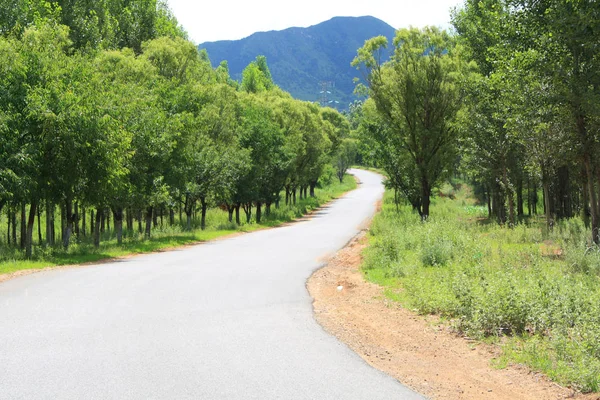 Strada Asfaltata Rurale Estate — Foto Stock