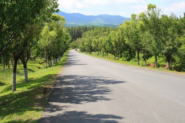 Estrada Asfalto Rural Verão — Fotografia de Stock