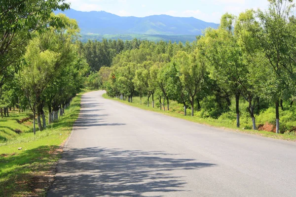 Estrada Asfalto Rural Verão — Fotografia de Stock