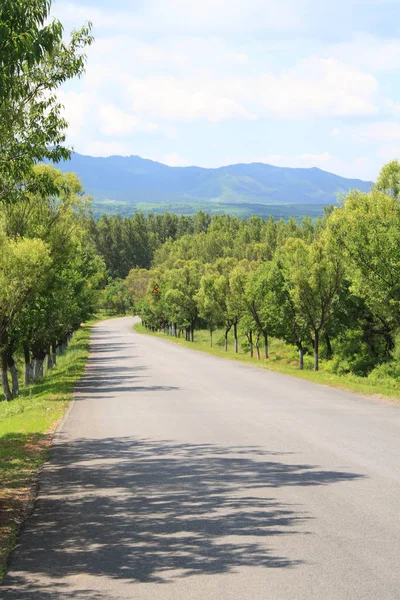 Strada Asfaltata Rurale Estate — Foto Stock