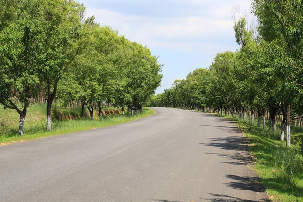 Rural Asfaltové Silnici Létě — Stock fotografie