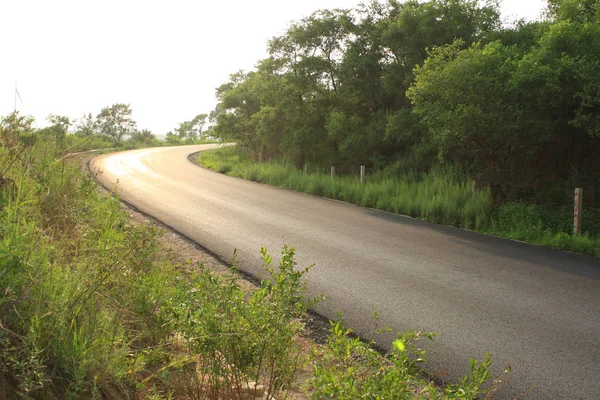 Estrada Asfalto Rural Verão — Fotografia de Stock