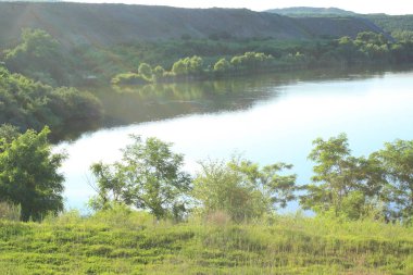 Göl ve yeşil ağaçlar