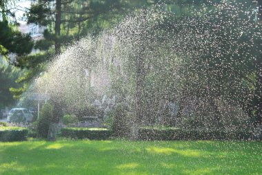 Otomatik olarak Çim Sulama