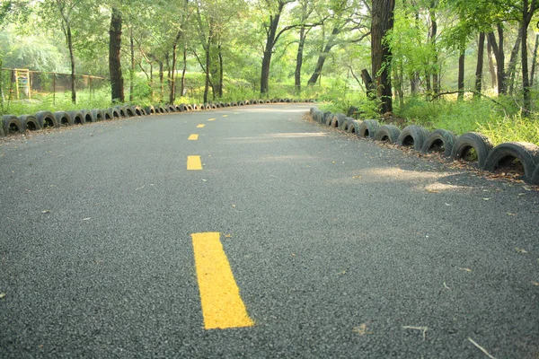 Straße Wald — Stockfoto