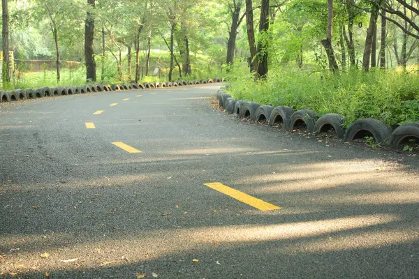 森林中的道路 — 图库照片