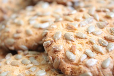 Bisküviler, ayçiçeği tohumu Close-up