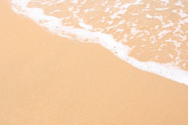 plaj ve okyanus dalgaları