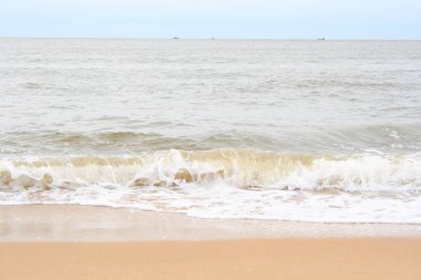 plaj ve okyanus dalgaları