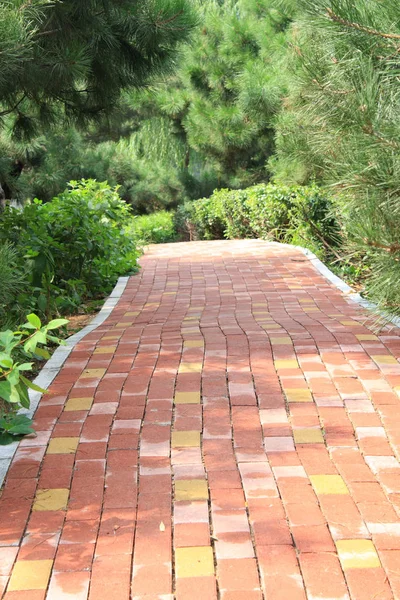 Red Brick Walkway Park — Stock Photo, Image