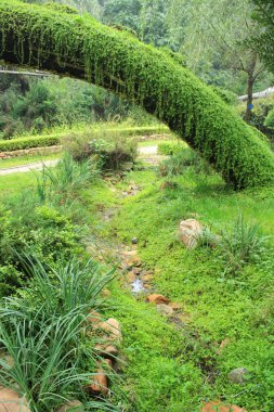 Botanik Bahçesi yaz aylarında