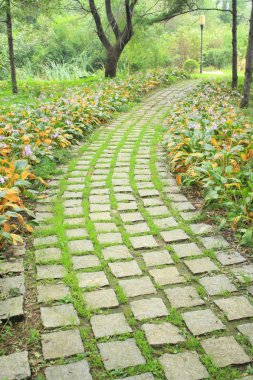 parkta eğimli yol