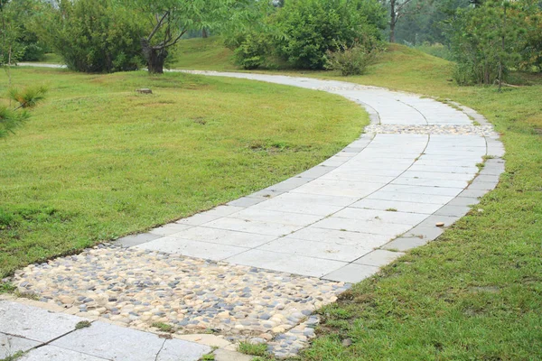 Curved Path Park — Stock Photo, Image