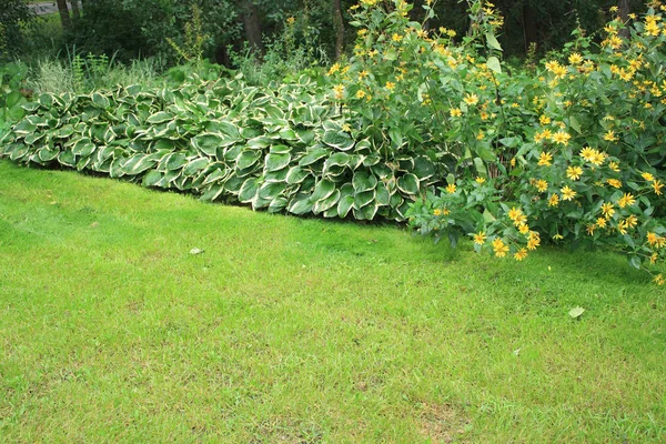 Botanische Tuin Zomer — Stockfoto