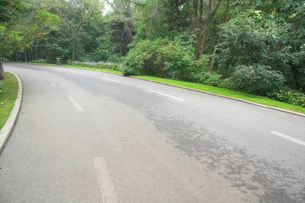 Asphaltstraße Wald — Stockfoto