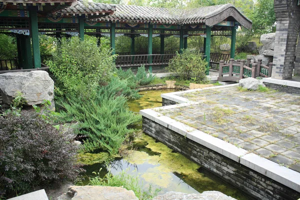 Paysage Jardin Chinois Été — Photo