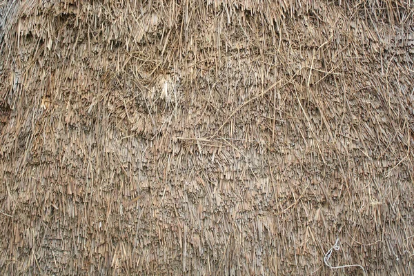 Droge Gras Textuur Achtergrond — Stockfoto