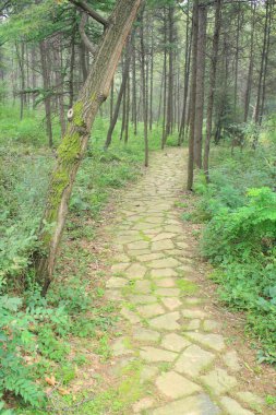 parkta eğimli yol