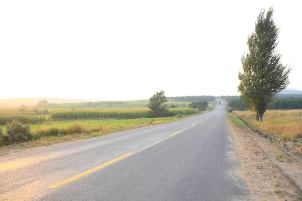 Country Road Atardecer — Foto de Stock