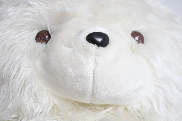 Primer Plano Osito Peluche Blanco — Foto de Stock