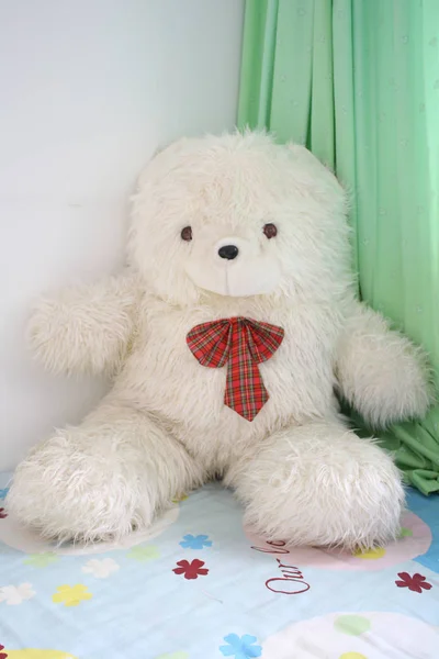 Closeup White Teddy Bear — Stock Photo, Image