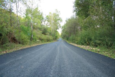 Ormandaki dağ yolu.