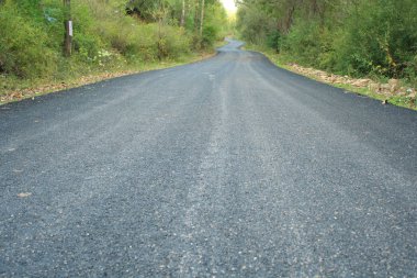 Ormandaki dağ yolu.