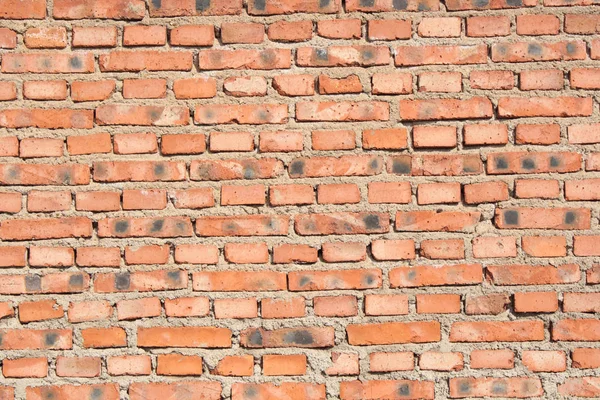 Brick Wall Texture Background — Stock Photo, Image