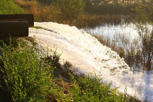 Acque Reflue Scaricate Nel Campo — Foto Stock