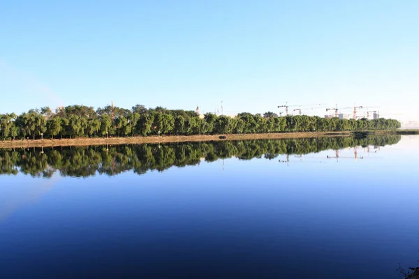 Reflet Forêt Dans Lac — Photo