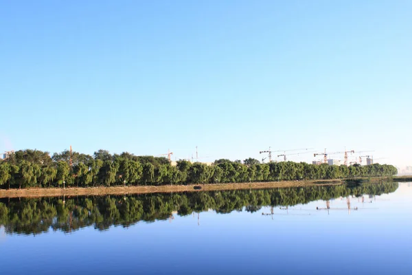 Reflet Forêt Dans Lac — Photo