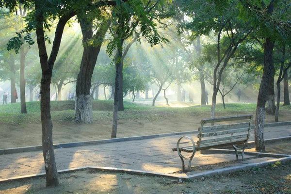 Morning sunlight falls on park