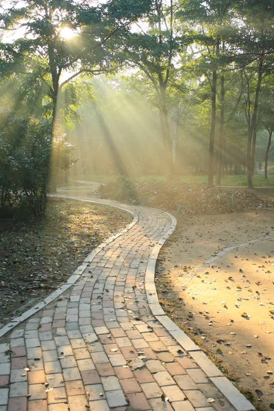 Morning Sunlight Falls Park — Stock Photo, Image