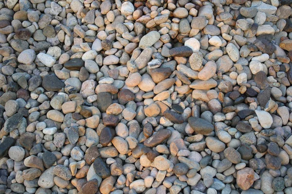 茶色の石畳テクスチャ背景 — ストック写真