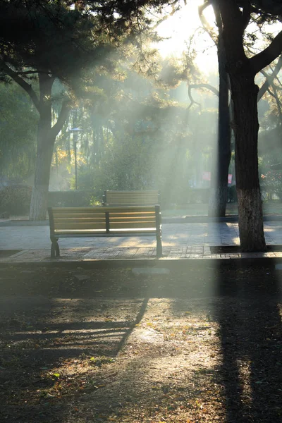 Morning Park Chair Sun — Stock Photo, Image
