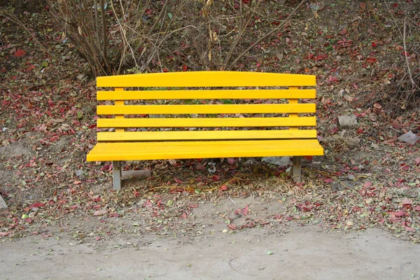 Καρέκλα Στο Πάρκο — Φωτογραφία Αρχείου