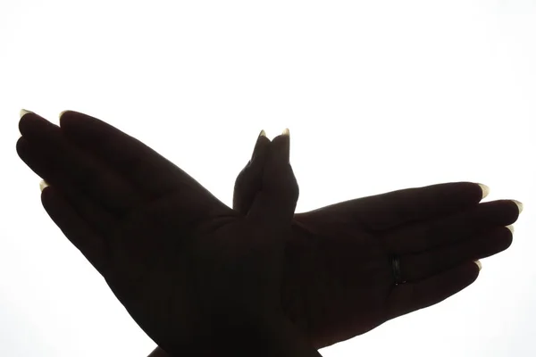 Sombra Mão Forma Pássaro — Fotografia de Stock