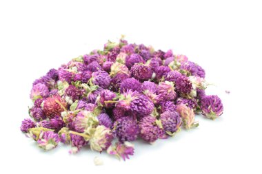 Beyaz arka plan üzerinde kurutulmuş gomphrena çiçek