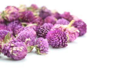Beyaz arka plan üzerinde kurutulmuş gomphrena çiçek