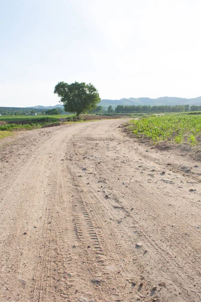 Crooked Rural Road — Stock Photo, Image