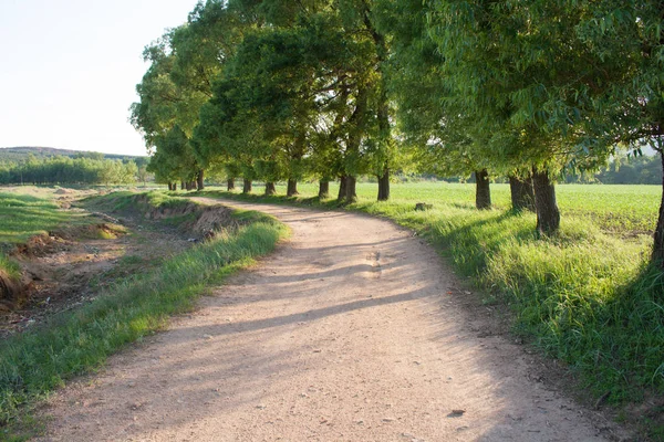 Strada rurale storta — Foto Stock