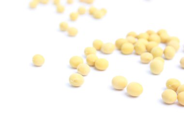 soya fasulyesi closeup