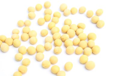 soya fasulyesi closeup