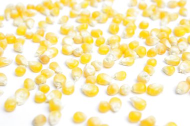 Beyaz arka plan üzerinde mısır çekirdekleri