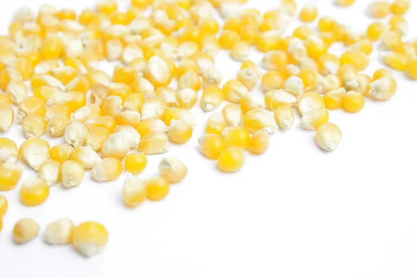 Corn Kernels Witte Achtergrond — Stockfoto