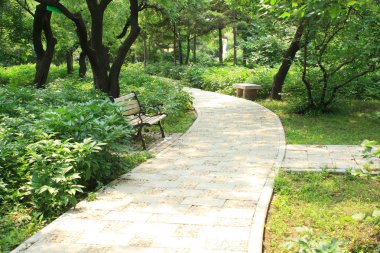 Bahçede küçük yol