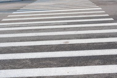 Otoyolda Zebra geçişi