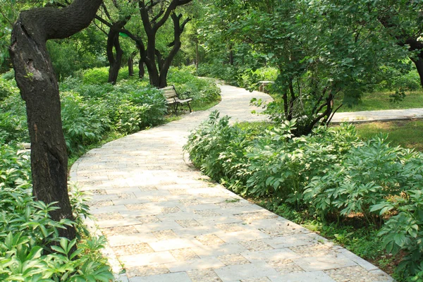 Small Road Garden — Stock Photo, Image