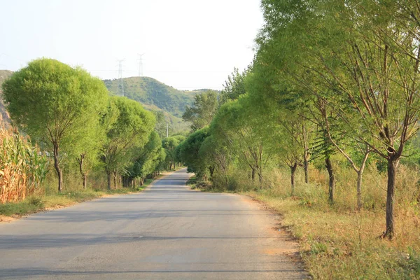 Autumn Country Asphalt Road — Stock Photo, Image