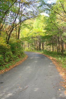 Dağlardaki küçük yol